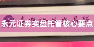 永元证券实盘托管核心要点