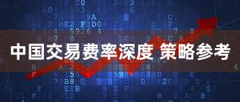 中国交易费率深度 策略参考