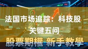 法国市场追踪：科技股 关键五问
