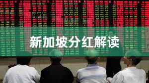 新加坡分红解读